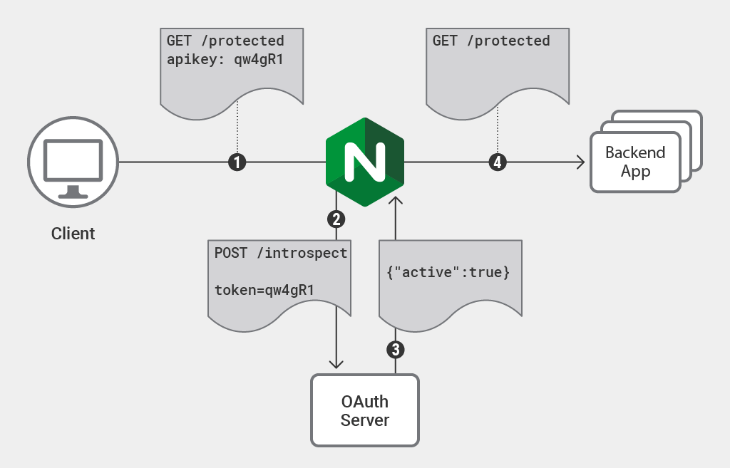 Nginx performing token validation as a reverse proxy